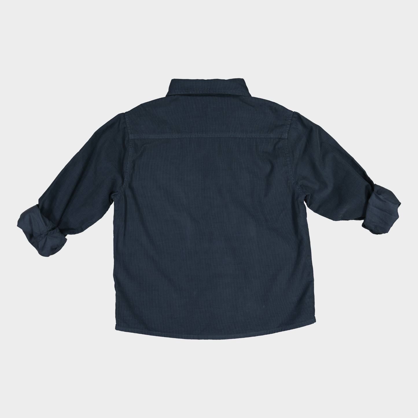 CAMISA CAMILO MICROPANA AZUL W26