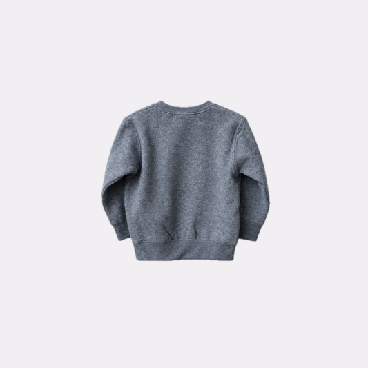 SUDADERA "CAMPFIRE" GRIS