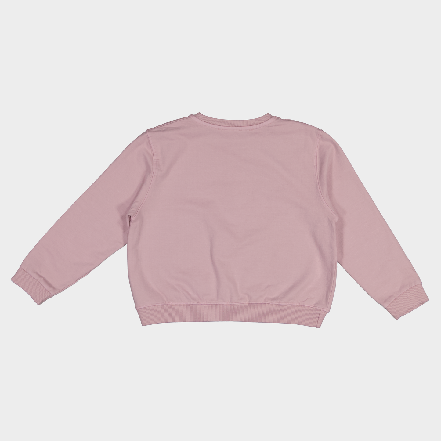 SUDADERA SOFPHIE ROSA W26