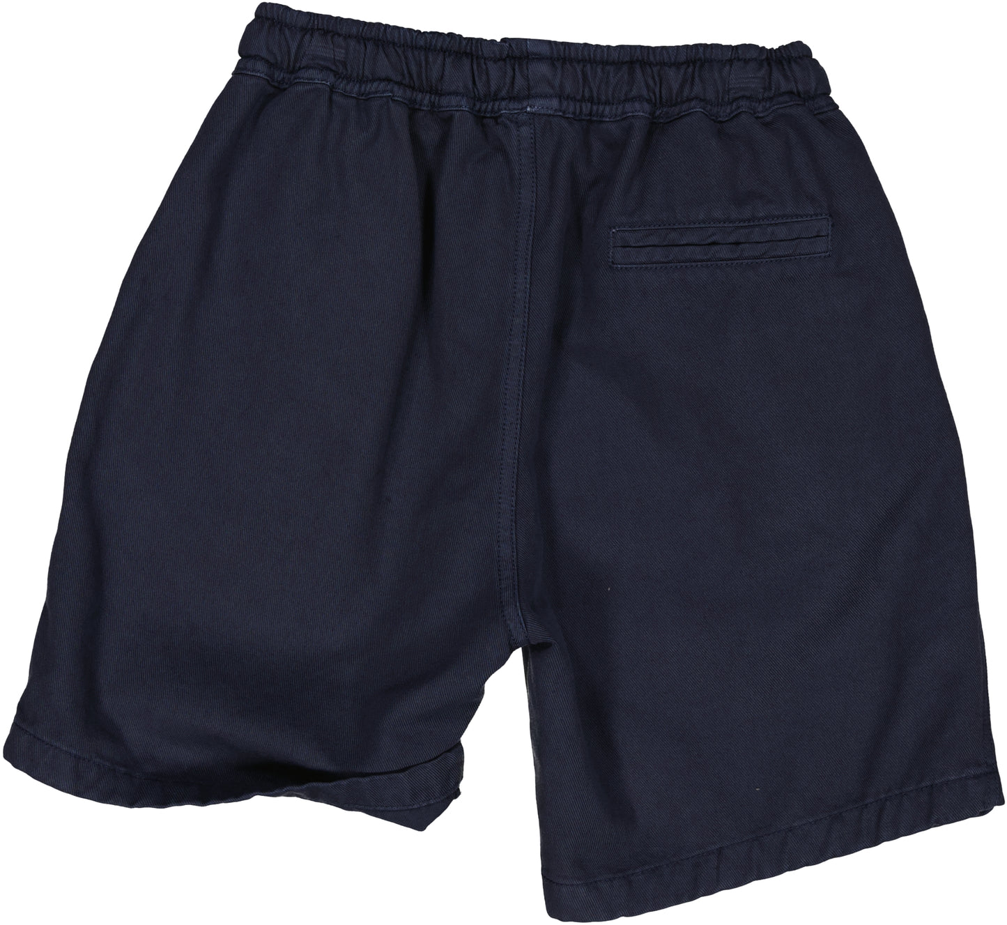 BERMUDA MARINE SEBAS