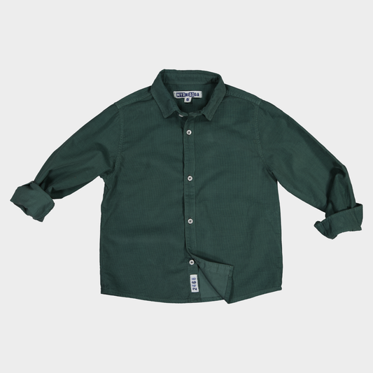 CAMISA CAMILO MICROPANA VERDE W26
