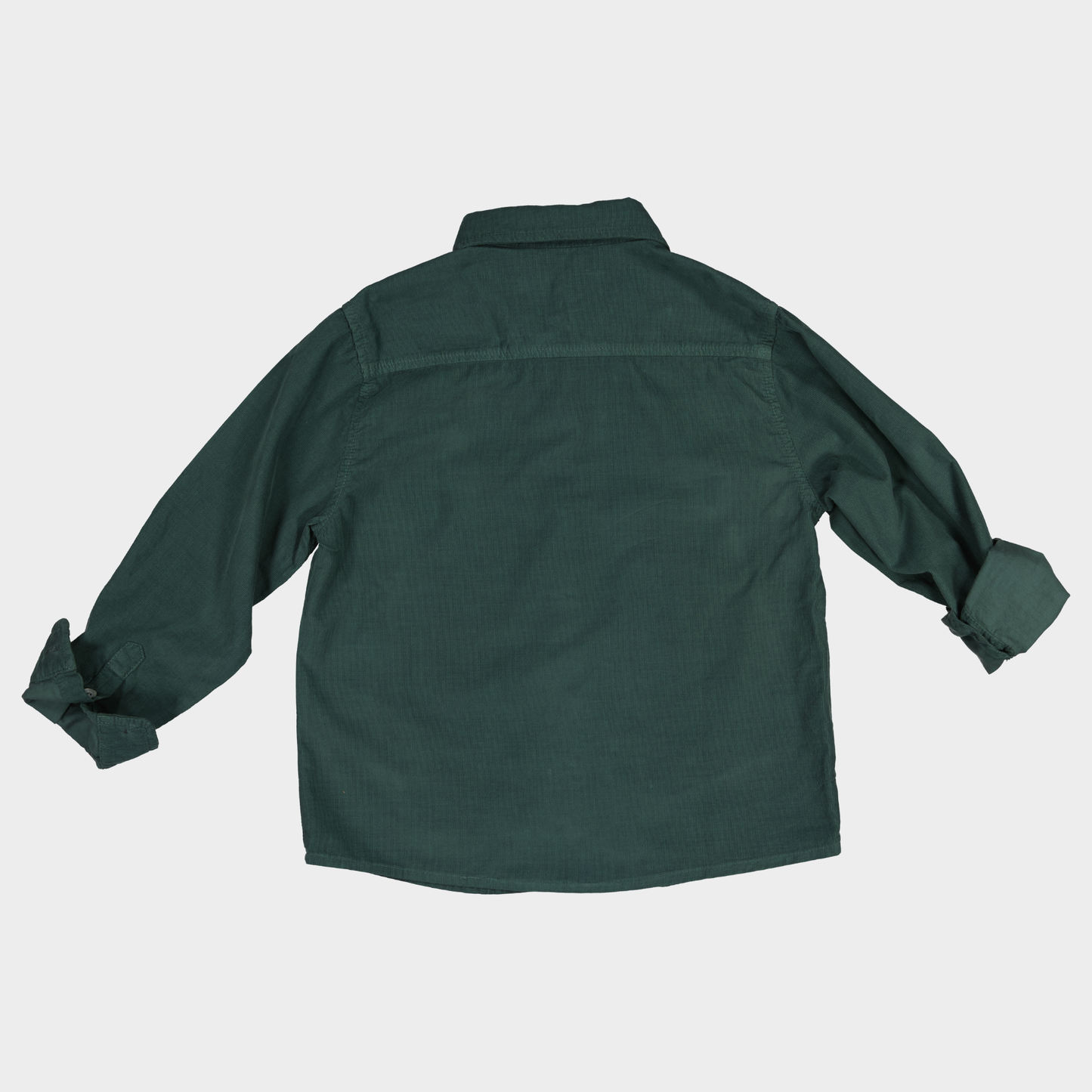 CAMISA CAMILO MICROPANA VERDE W26