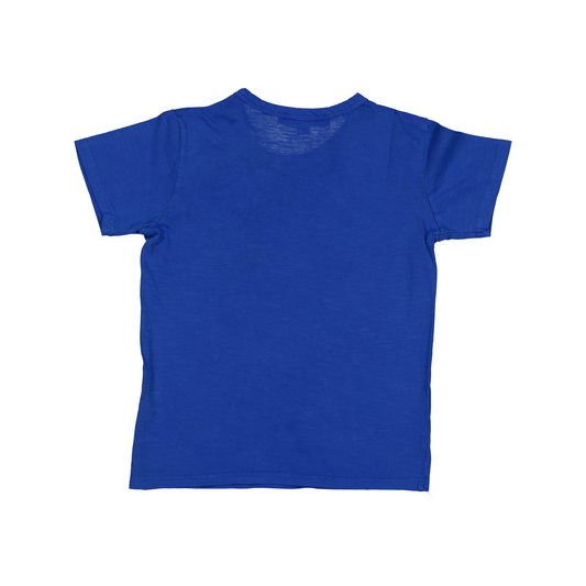 CAMISETA TOMMY AZUL